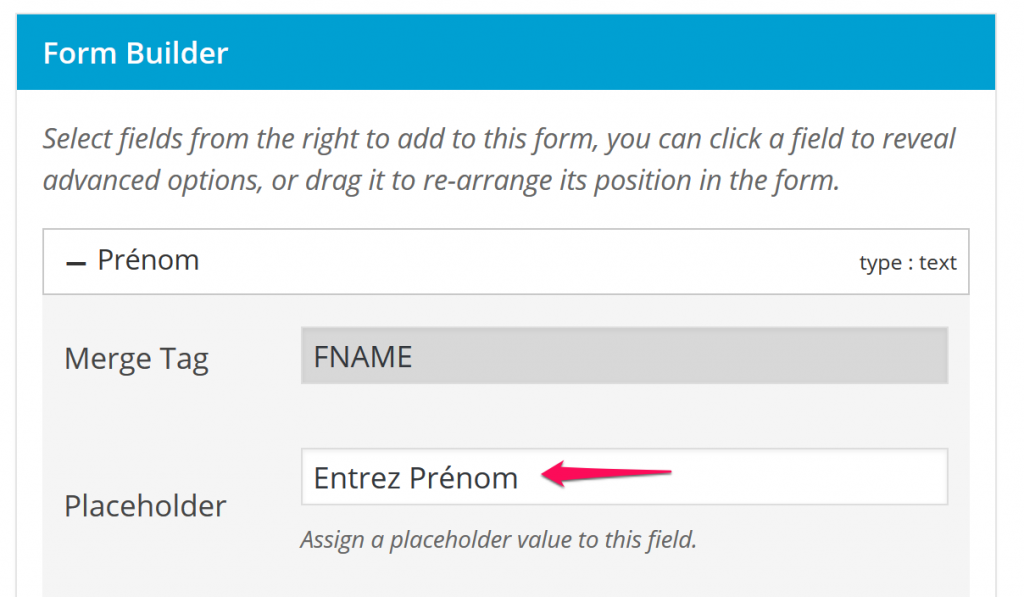 Entering placeholder text in Easy Forms for Mailchimp